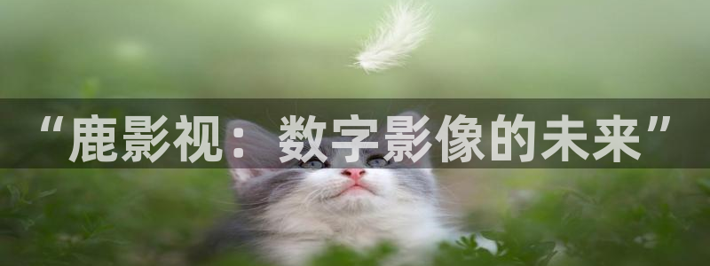 青苹果影院理论