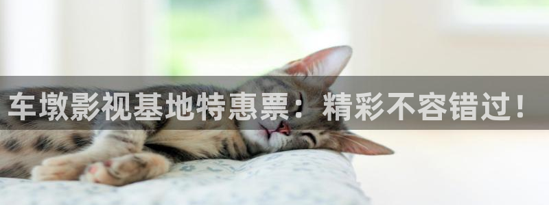 青苹果影院电视剧在线免费6090